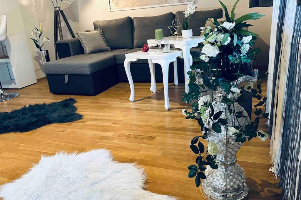 12-Fratelli Apartments Schloss Schonbrunn 10 To City Βιέννη Εξωτερικό φωτογραφία
