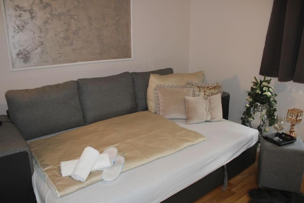 12-Fratelli Apartments Schloss Schonbrunn 10 To City Βιέννη Εξωτερικό φωτογραφία