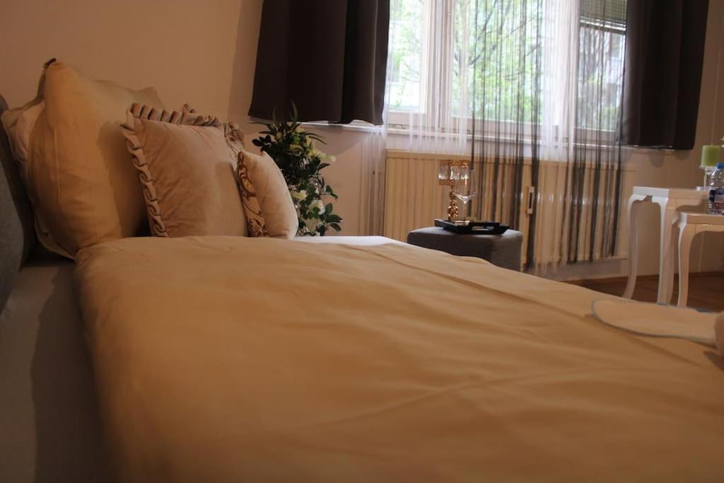 12-Fratelli Apartments Schloss Schonbrunn 10 To City Βιέννη Εξωτερικό φωτογραφία