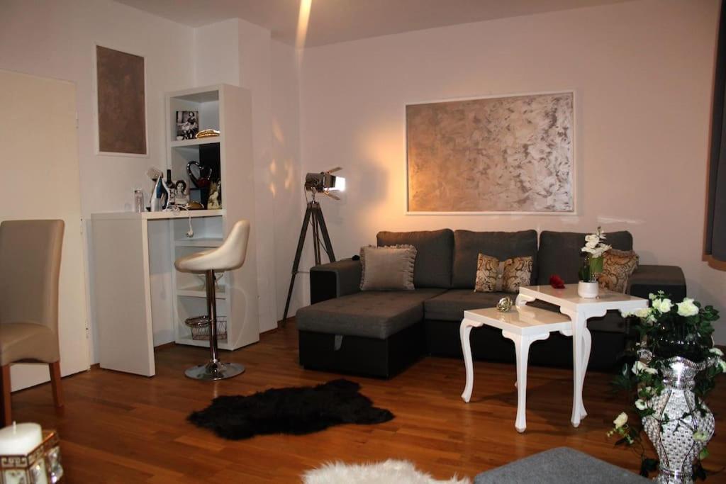 12-Fratelli Apartments Schloss Schonbrunn 10 To City Βιέννη Εξωτερικό φωτογραφία