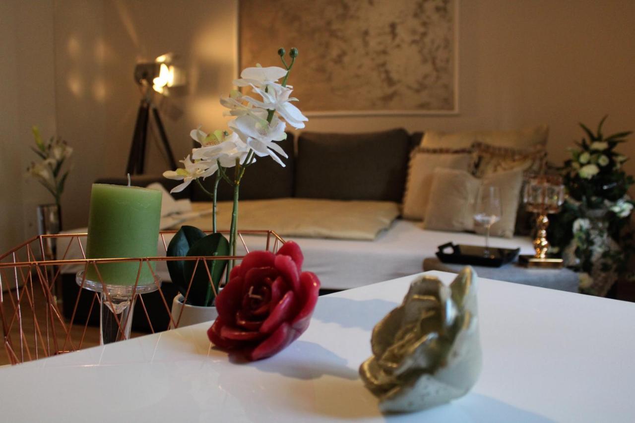 12-Fratelli Apartments Schloss Schonbrunn 10 To City Βιέννη Εξωτερικό φωτογραφία