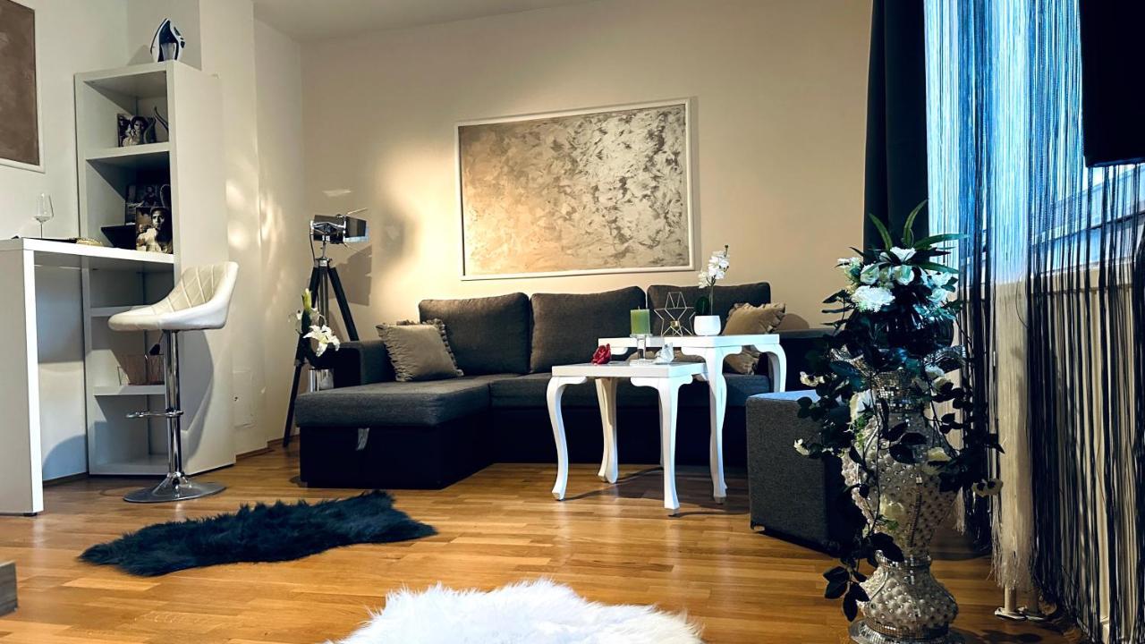 12-Fratelli Apartments Schloss Schonbrunn 10 To City Βιέννη Εξωτερικό φωτογραφία