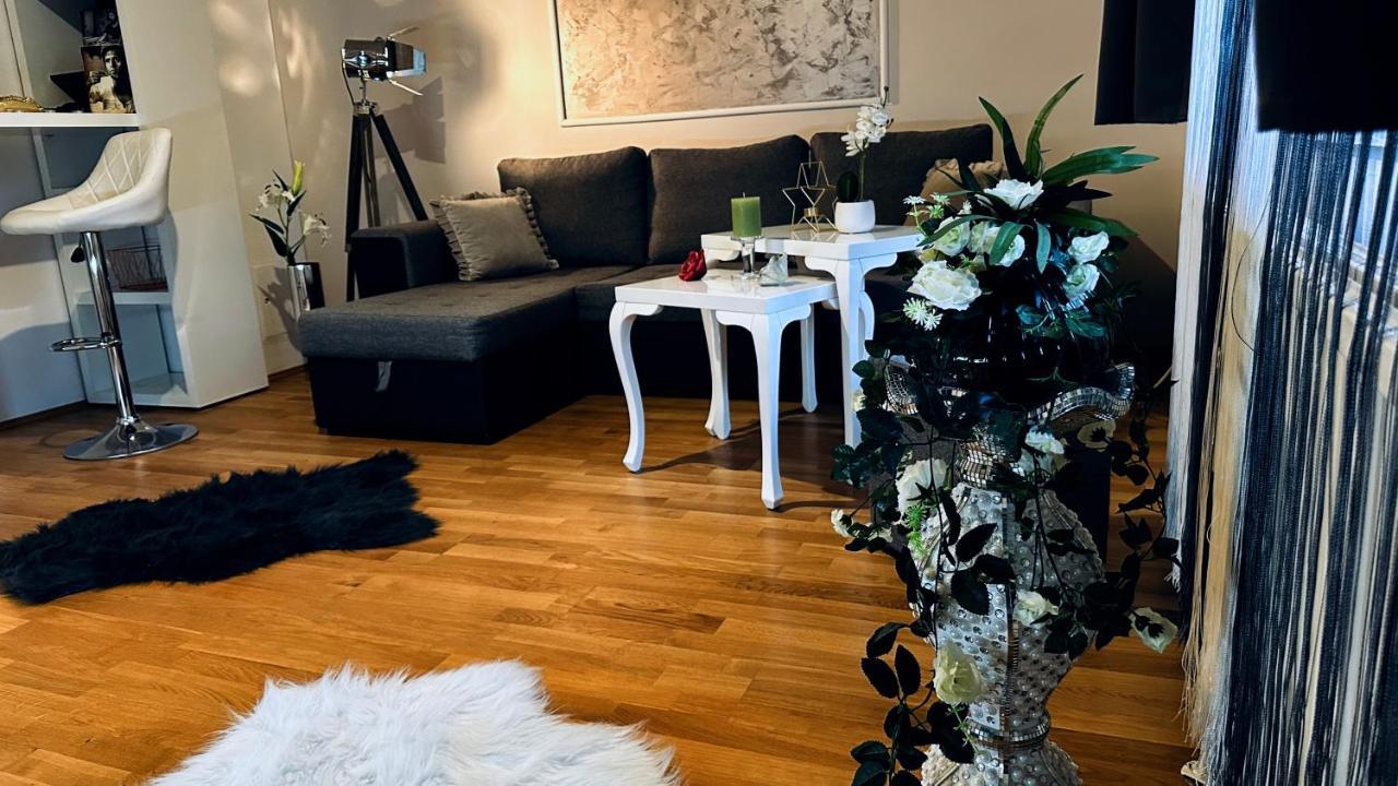 12-Fratelli Apartments Schloss Schonbrunn 10 To City Βιέννη Εξωτερικό φωτογραφία